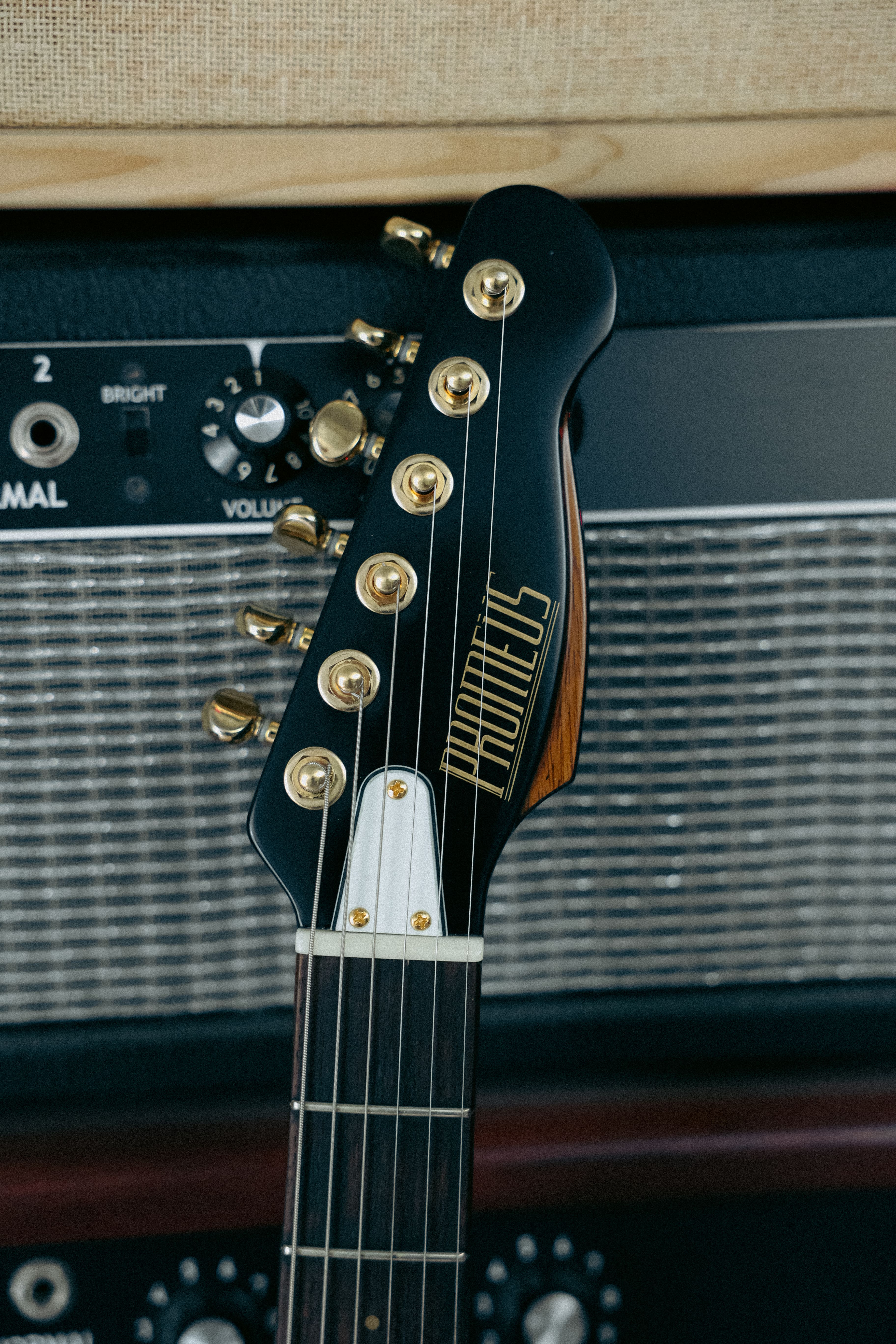 Blackbird #1 Promeüs Guitars